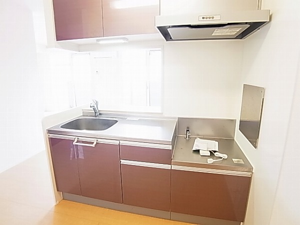 アネシスⅡ その他18