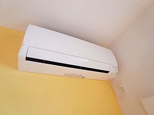 ボナポルタB  その他5