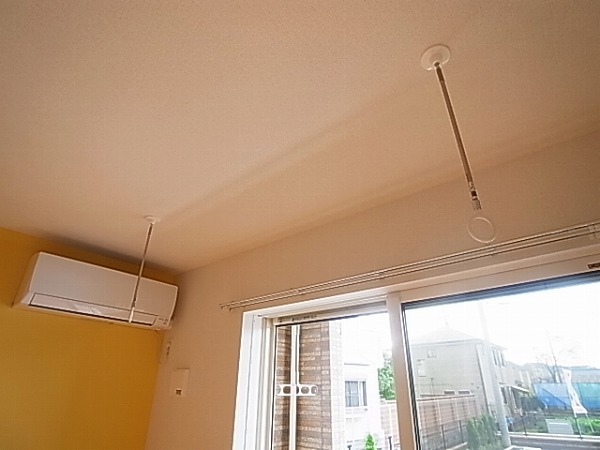 ボナポルタB  その他10