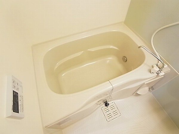 ボナポルタB  その他12