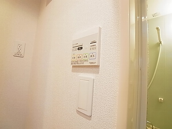 ボナポルタB  その他18