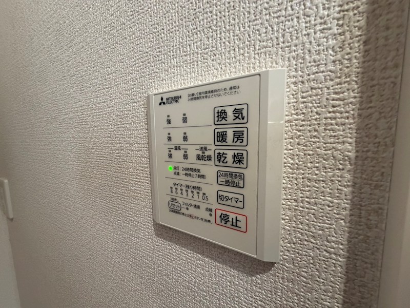 フェリスタ その他27