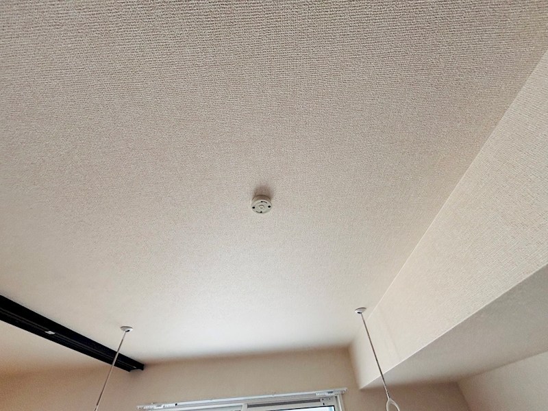 フライハイト その他17