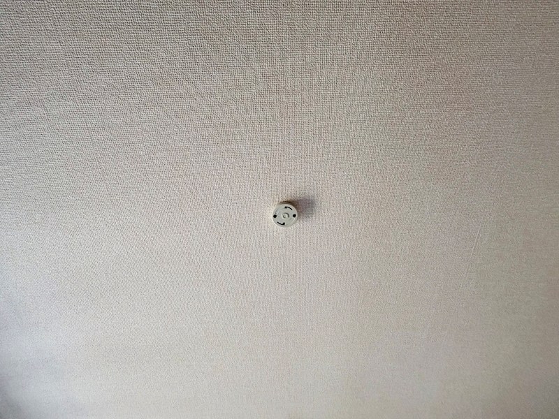 フライハイト その他27