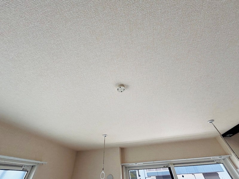 フライハイト その他16