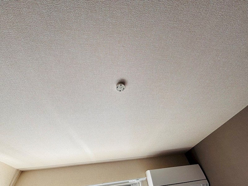 フライハイト その他27