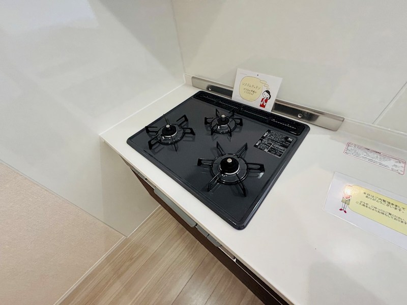 フライハイト その他27