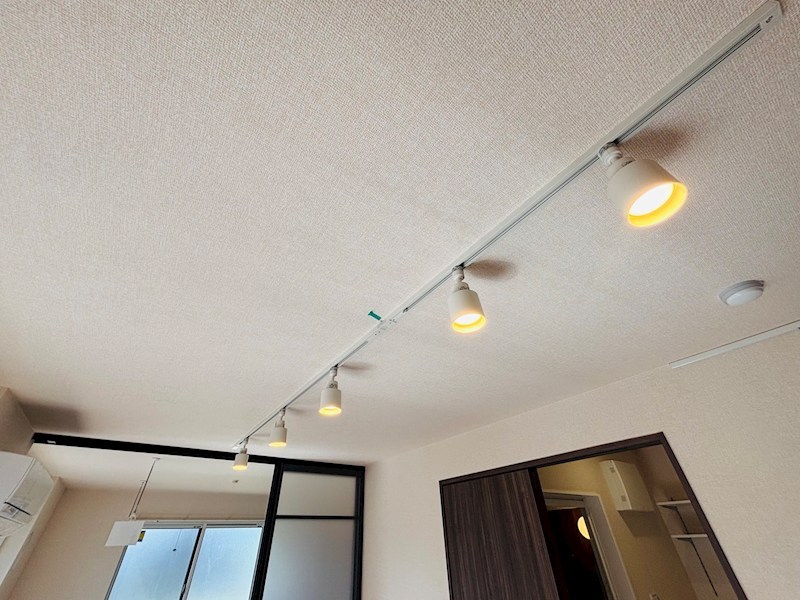 リベラル その他15