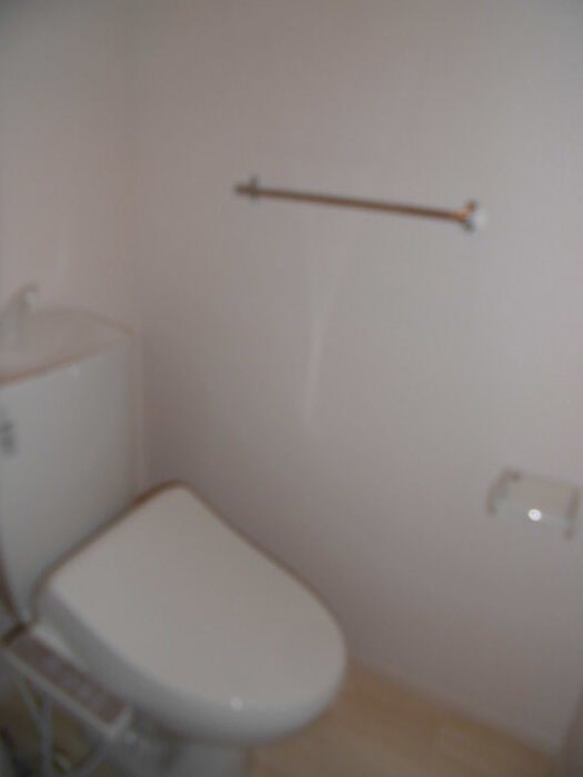 Ｇｒａｎｄｉｒ　Ｎｉｓｓａｔｏ その他1