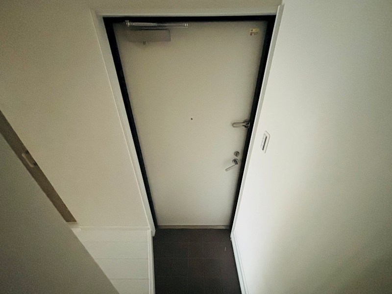 Freesia梅島 その他21