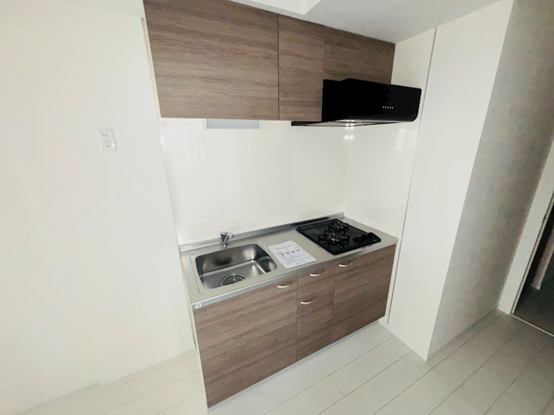 Freesia梅島 その他26