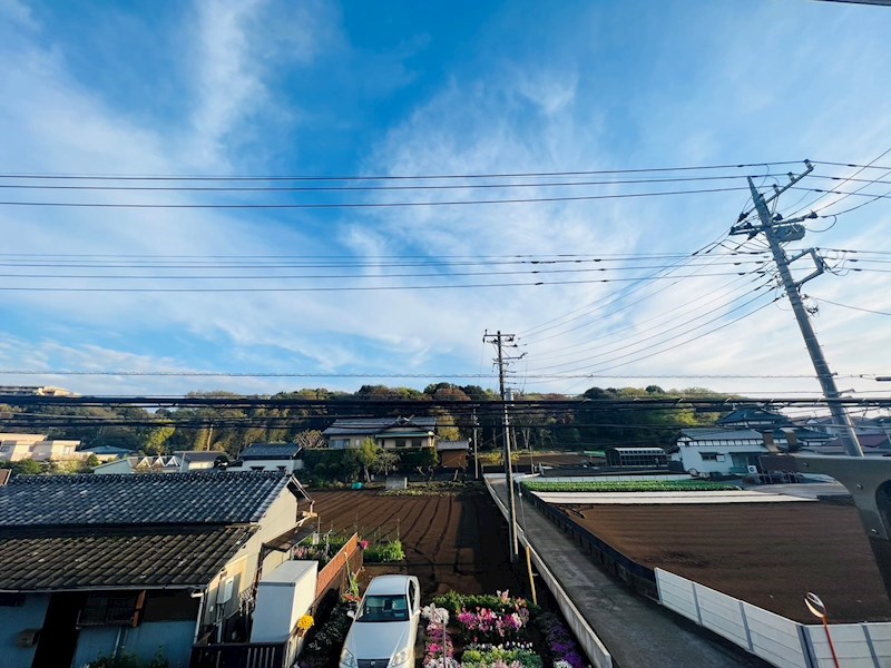 シャンハイツカジクラ その他6