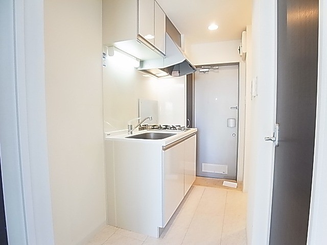 セレ柏 その他11