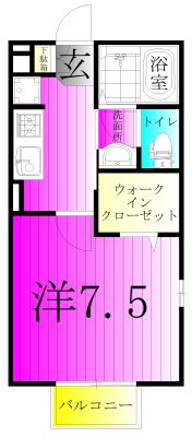 ステラコート 101号室 間取り