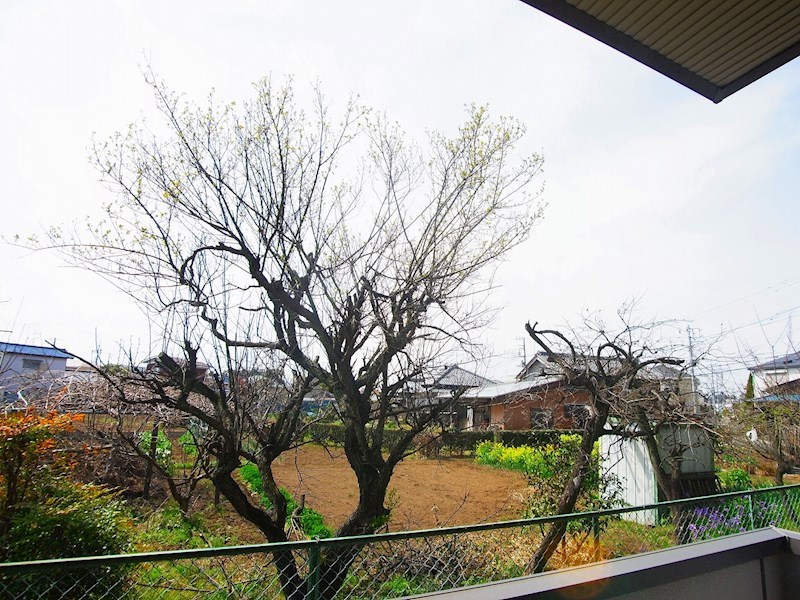 ステラコート その他5