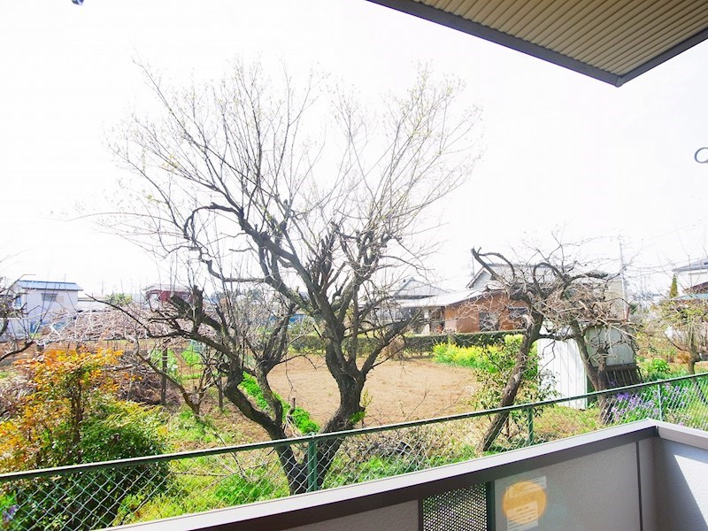 ステラコート その他39