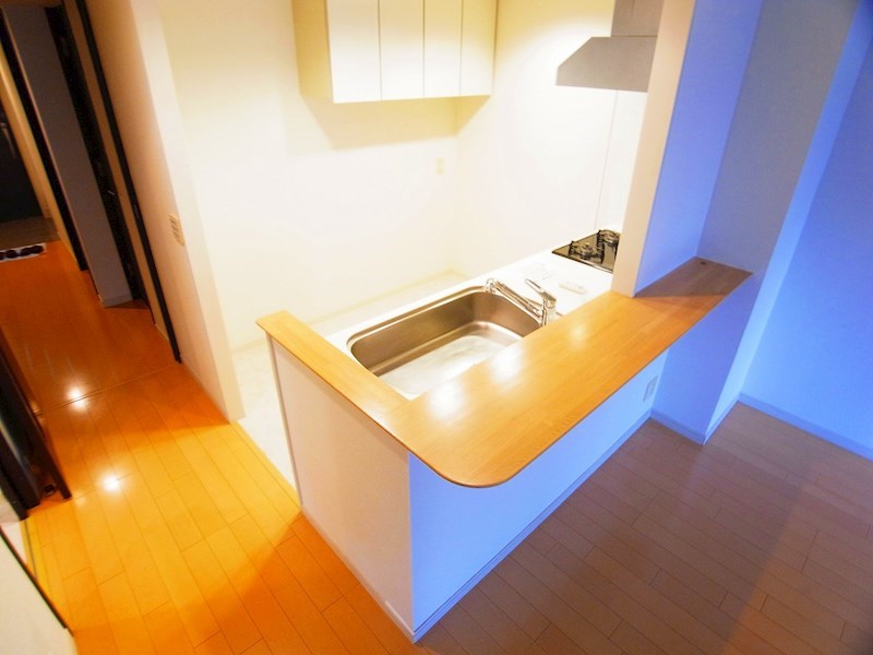 レジディア東松戸 その他27