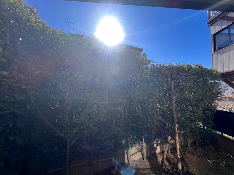 ローズコート宝町 その他13