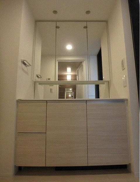 シティテラス八潮 その他2