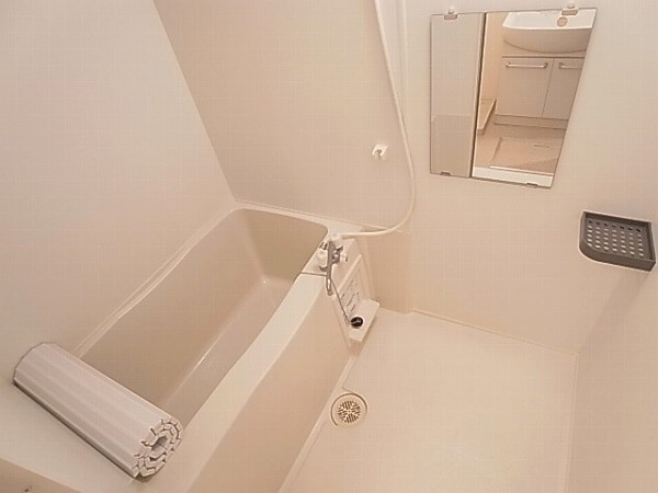 モナリエ　カワムラ 風呂画像