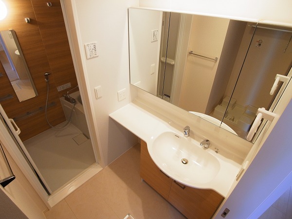 ペンブロークⅡ その他2