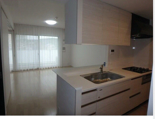 シティテラス八潮 その他7