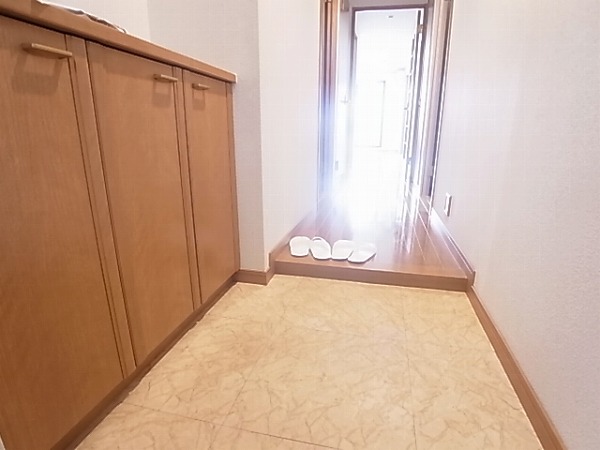 インシュランスビル12 玄関