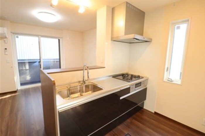 グリーンヴィラ　ピッケル キッチン