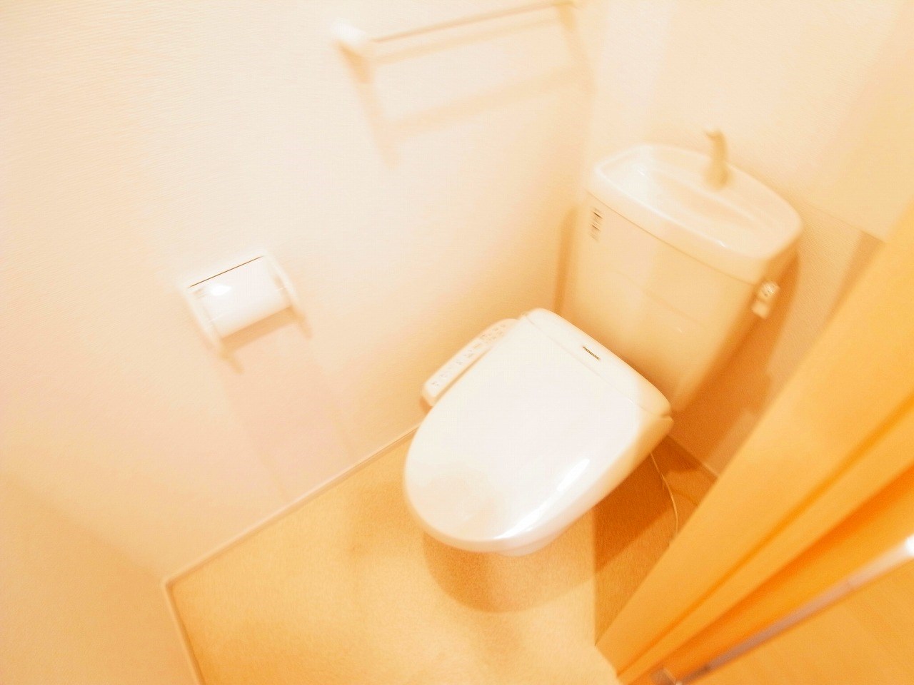 サンフラウアⅤ その他1