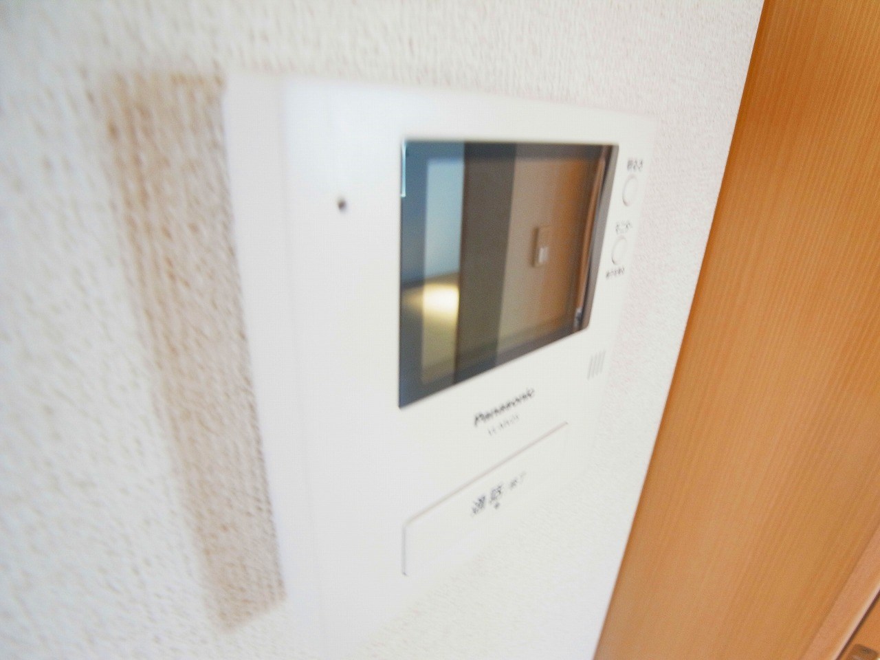 サンフラウアⅤ その他4