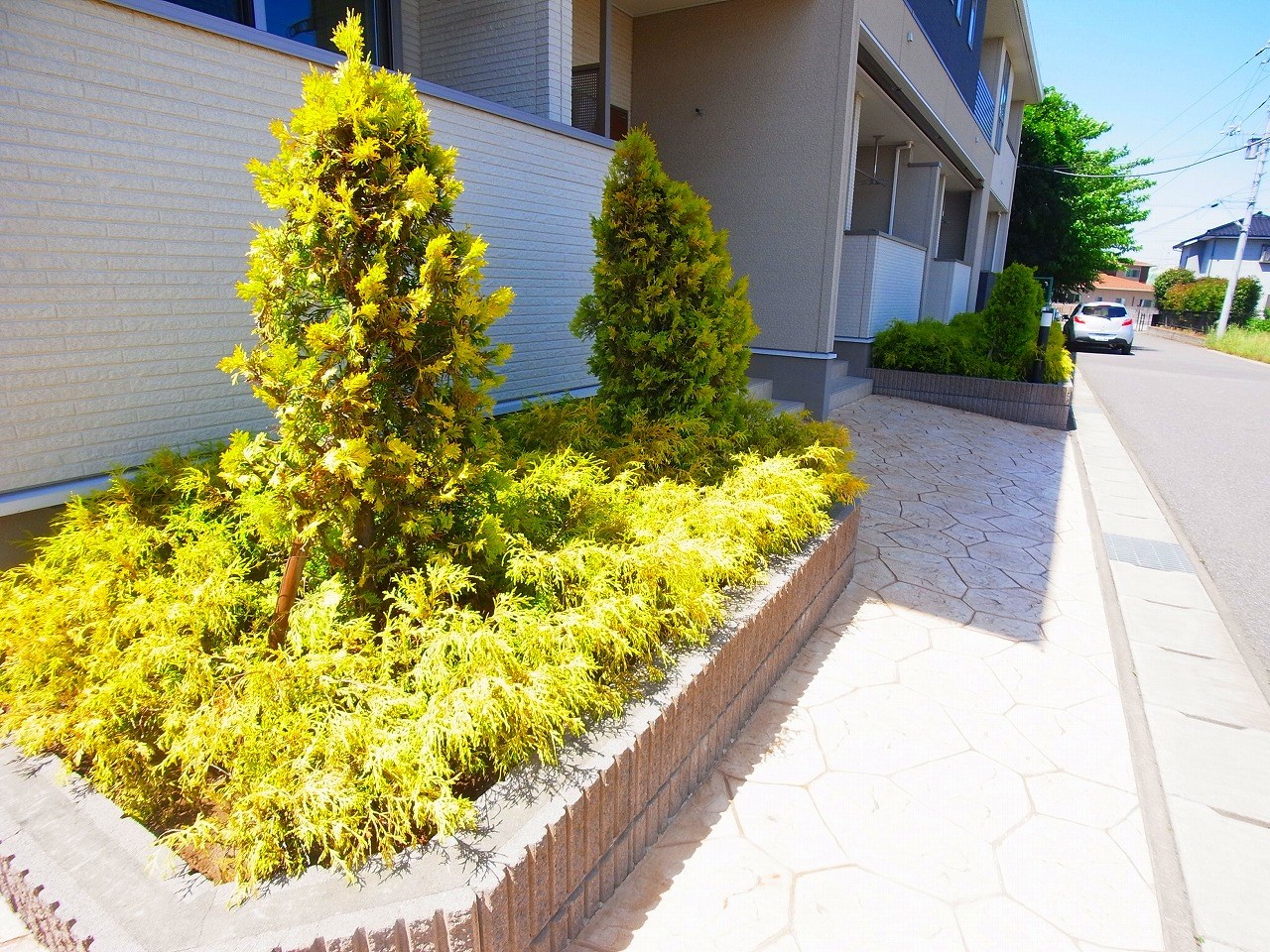 サンフラウアⅤ その他外観3