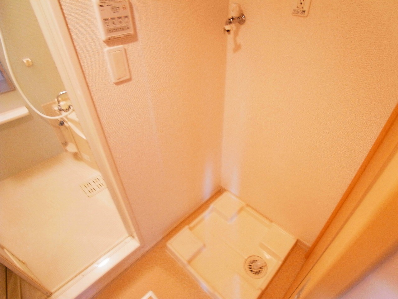 サンフラウアⅤ その他12