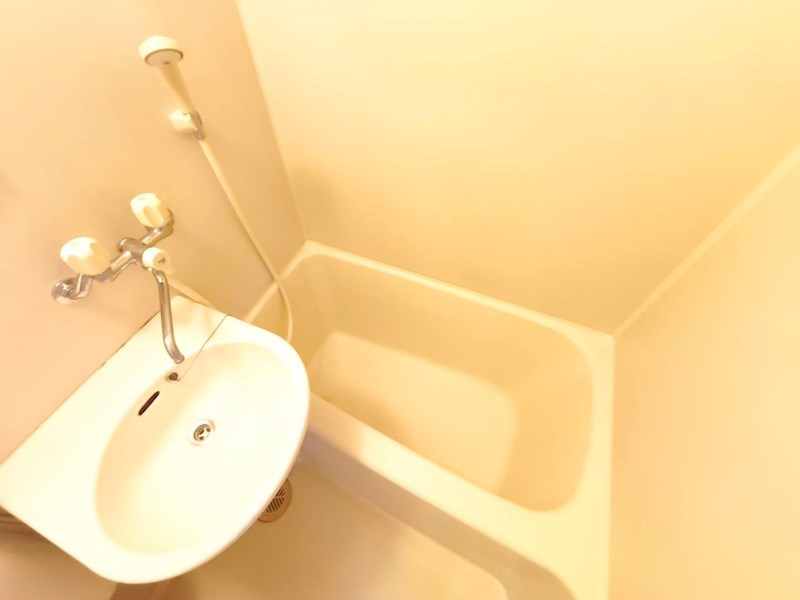 栃の木ハウス  風呂画像