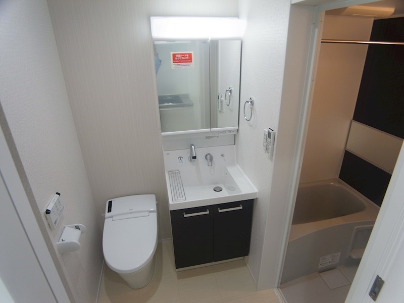 プレジールエミュ その他2