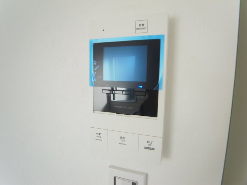 プレジールエミュ その他3