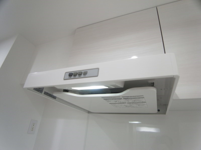 プレジールエミュ その他12