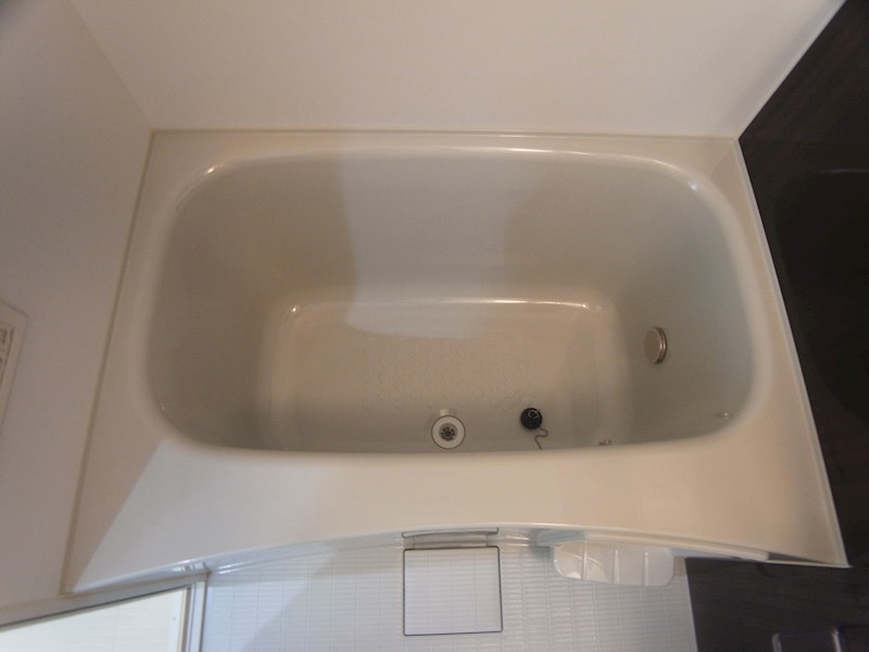 プレジールエミュ その他16