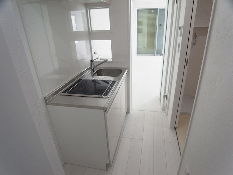 プレジールエミュ その他18