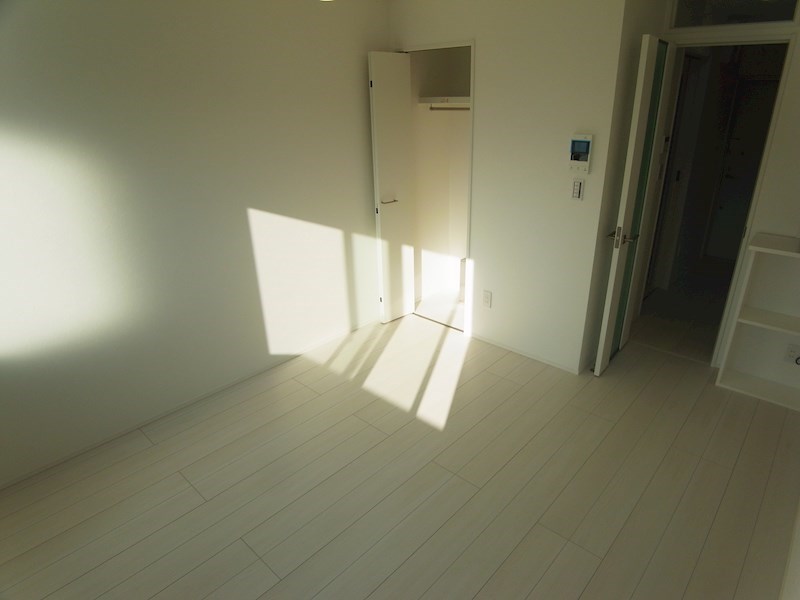 プレジールエミュ その他22