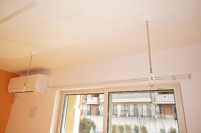 シオンⅡＡ  その他5