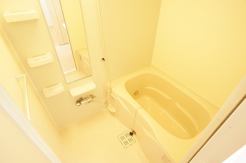 イースト・エリカーナ 風呂画像