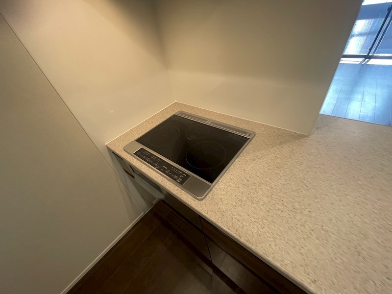 インフィニット カンワ その他18