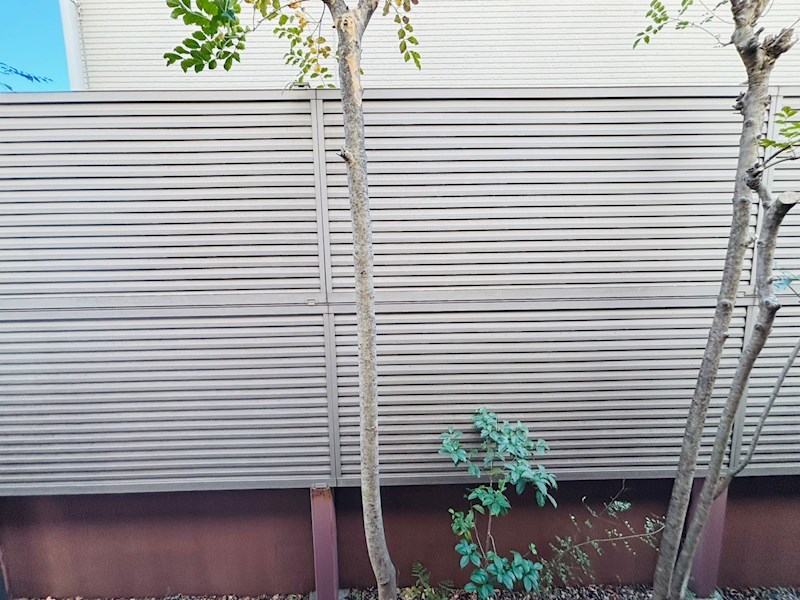 イビサ１ その他6