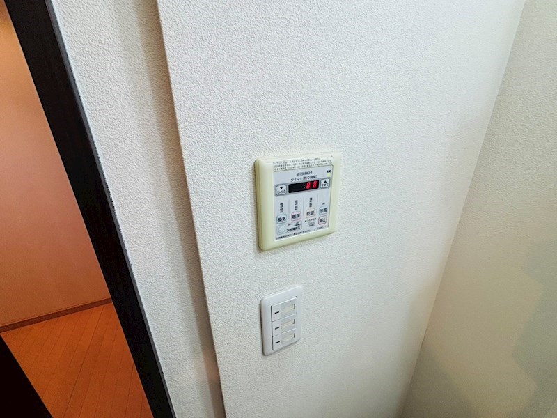 イビサ１ その他9