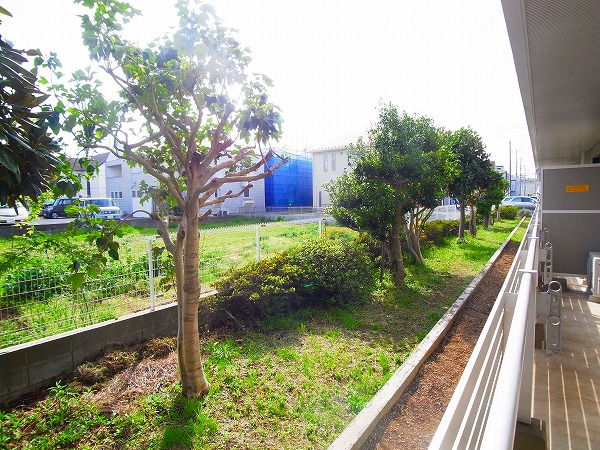 ローズ・ウッド その他5