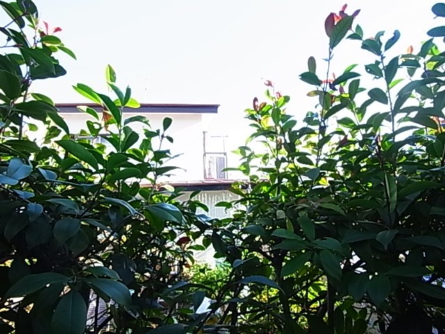 リバージュ北綾瀬 その他6