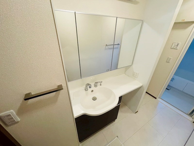 ＰＬＡＴＩＮＵＭ その他2