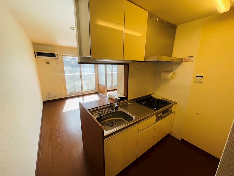 ＰＬＡＴＩＮＵＭ その他25