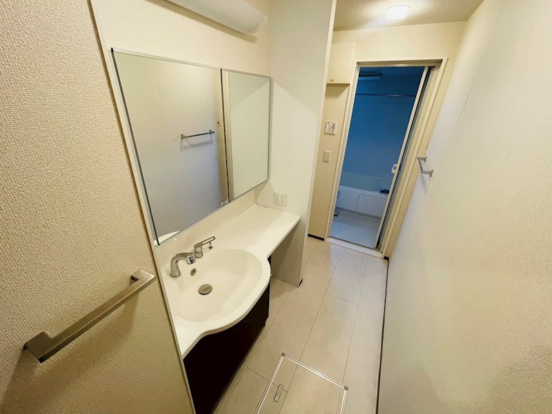 ＰＬＡＴＩＮＵＭ その他19