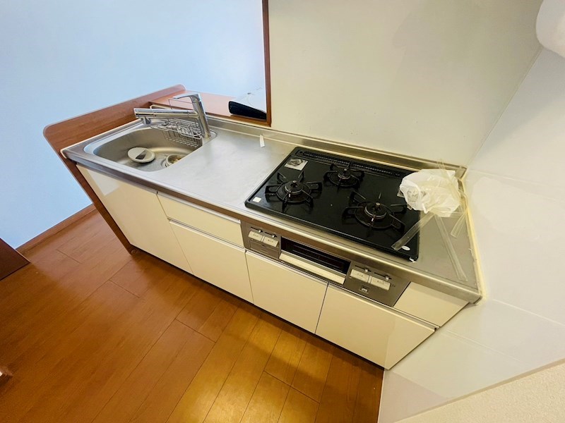 ＰＬＡＴＩＮＵＭ その他27